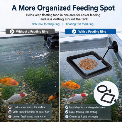 BaoZqua 2 Pack Betta Fish Feeding Ring, Floating Aquarium Fish Tank Feeder