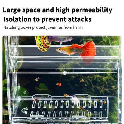 Fish Breeder Box for Fish Tank, Plastic Aquarium Breeder for Fry Fish, Guppy