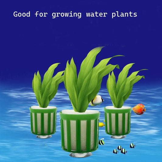 Aquarium Plant Rings Aquatic Plant Fixing Ring with Suction Cup Plant Weight Pot