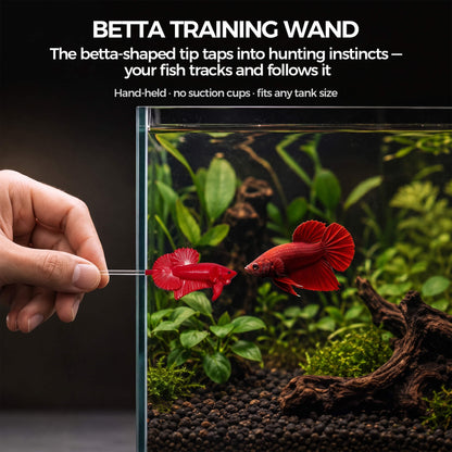 BaoZqua Betta Exercise Kit, Betta Fish Toys, 2 Training Wands and Mirror