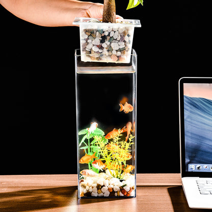 Crystal-Clear Plastic Fish Tank, Cylindrical or Rectangular Desktop Fish Tank & Hydroponic Planter, High-Transparency Display for Aquatic Plants, Fresh/Dried Flowers, Home & Office Décor