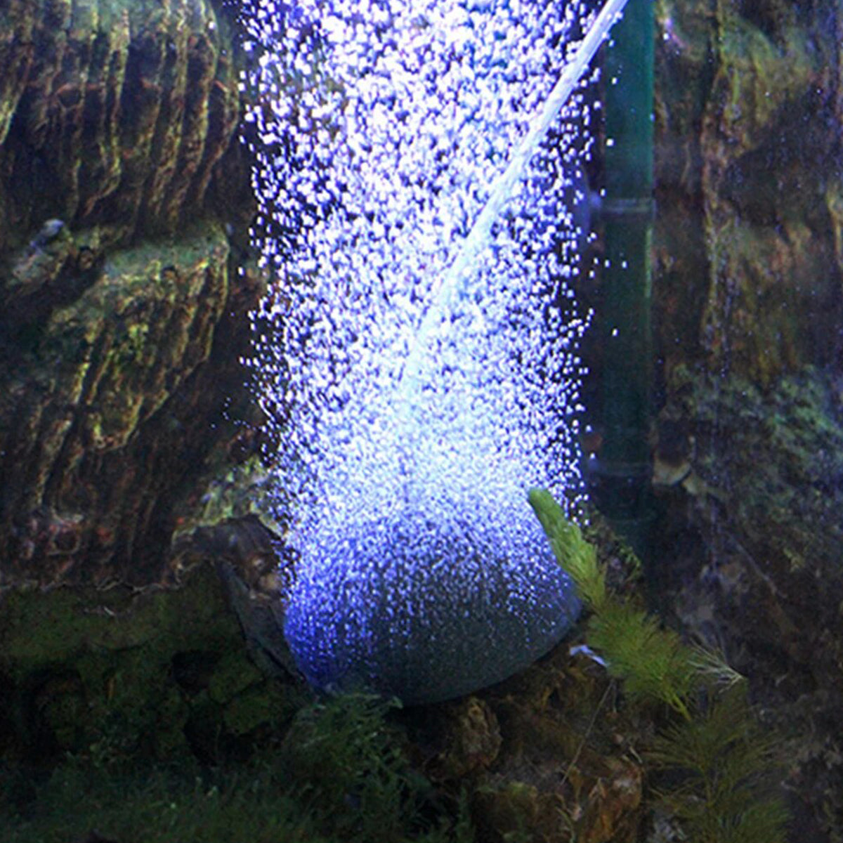 Aquarium Bubble Disk for Fish Tank, High-Temperature Sintered Oxygenator, Easy to Clean