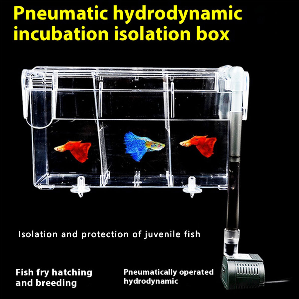 Acrylic Hang-On Breeding & Isolation Box — Fry/Shrimp Incubator & Refugium, Medium 2-Chamber (No Pump) / Large 3-Chamber (No Pump), Clear External Hatchery for Freshwater & Marine