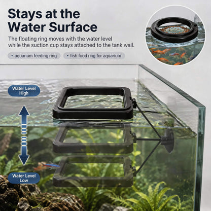 BaoZqua 2 Pack Betta Fish Feeding Ring, Floating Aquarium Fish Tank Feeder