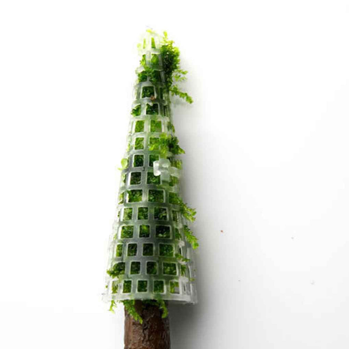 Aquarium Moss Decoration Aquarium Moss Ornament Fish Tank Landscape Grow Aquatic