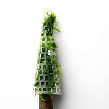 Aquarium Moss Decoration Aquarium Moss Ornament Fish Tank Landscape Grow Aquatic