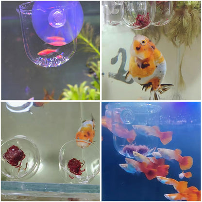 3PCS Aquarium Red Worm Fish Feeder, Transparent Suction Cup Fishes Feeding Cup Food Container for Feeding Shrimp Fish, for Aquarium or Small Fish, Turtle Aquarium(Acrylic  Hole Cup)