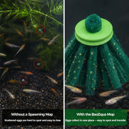 BaoZqua Medaka Spawning Mop Kit, 10 Floating Egg Collectors with Hatch Box