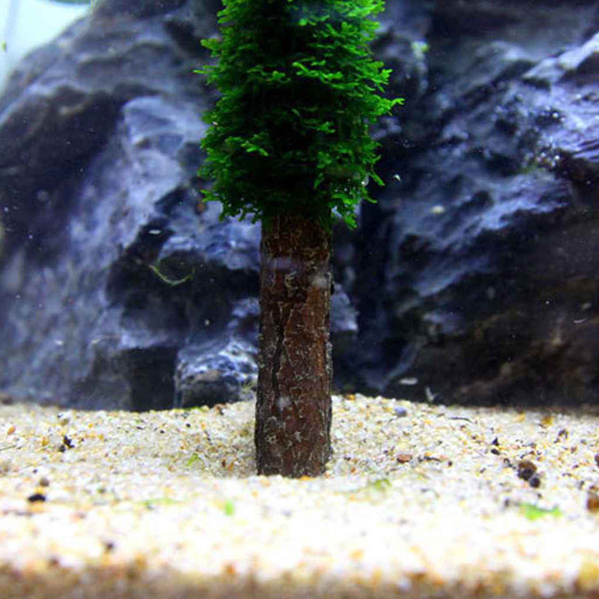 Aquarium Moss Decoration Aquarium Moss Ornament Fish Tank Landscape Grow Aquatic