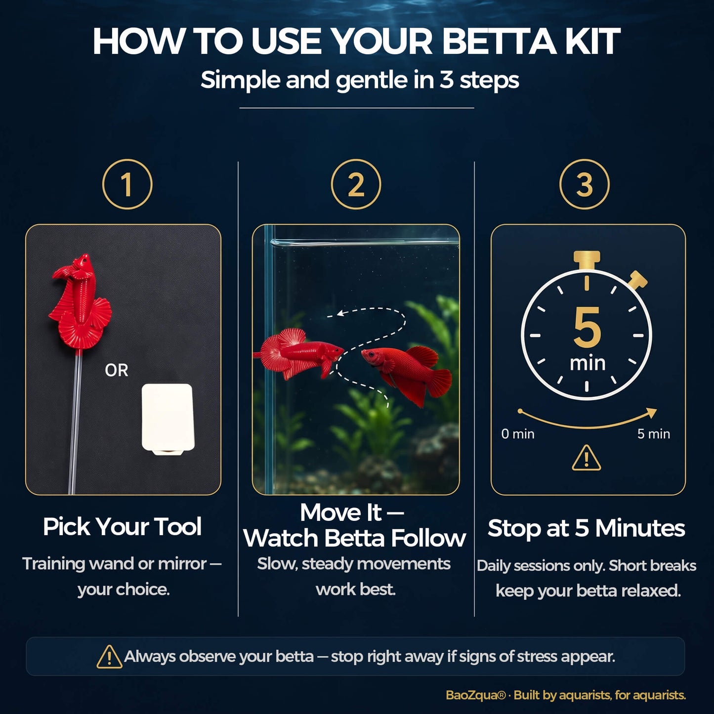 BaoZqua Betta Exercise Kit, Betta Fish Toys, 2 Training Wands and Mirror