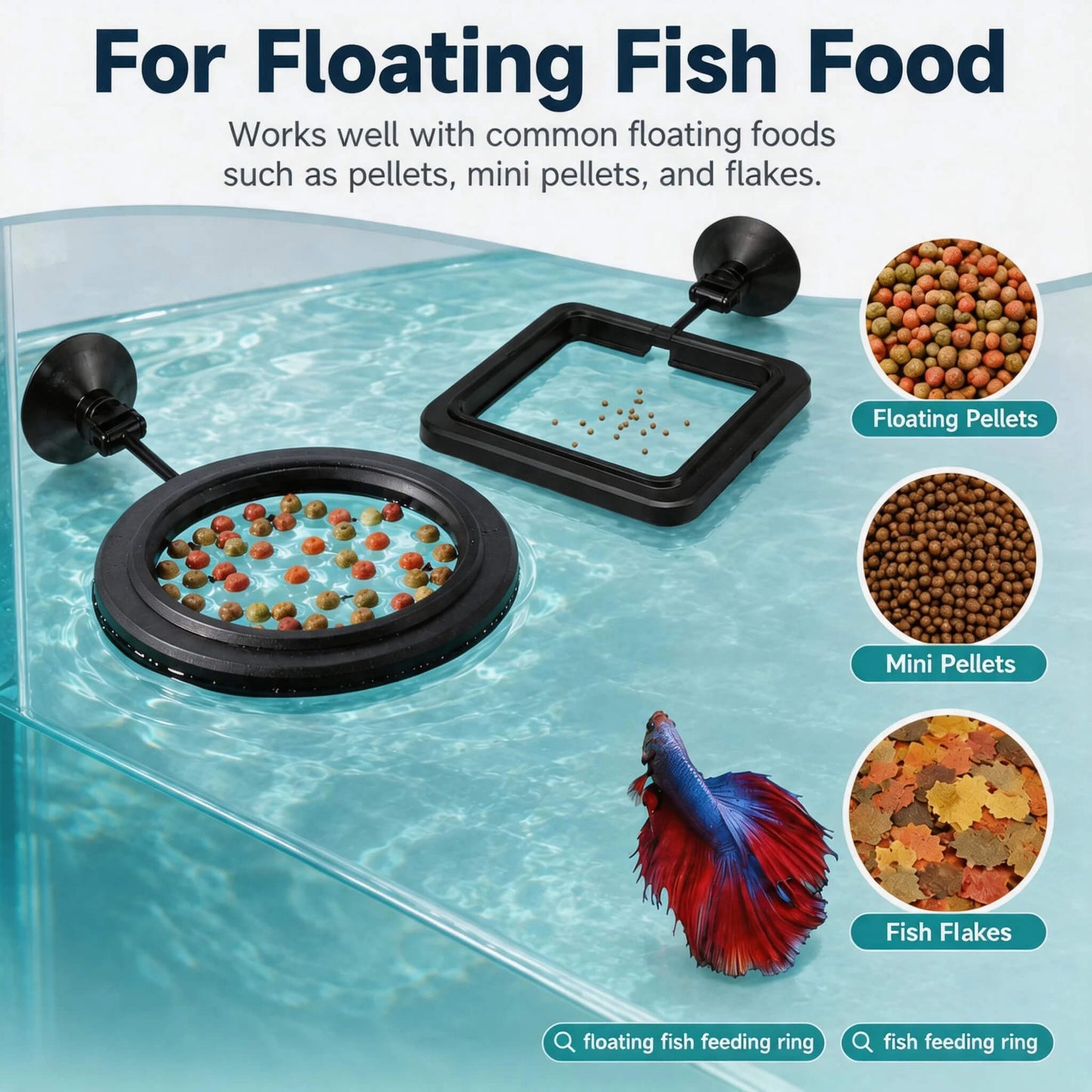 BaoZqua 2 Pack Betta Fish Feeding Ring, Floating Aquarium Fish Tank Feeder