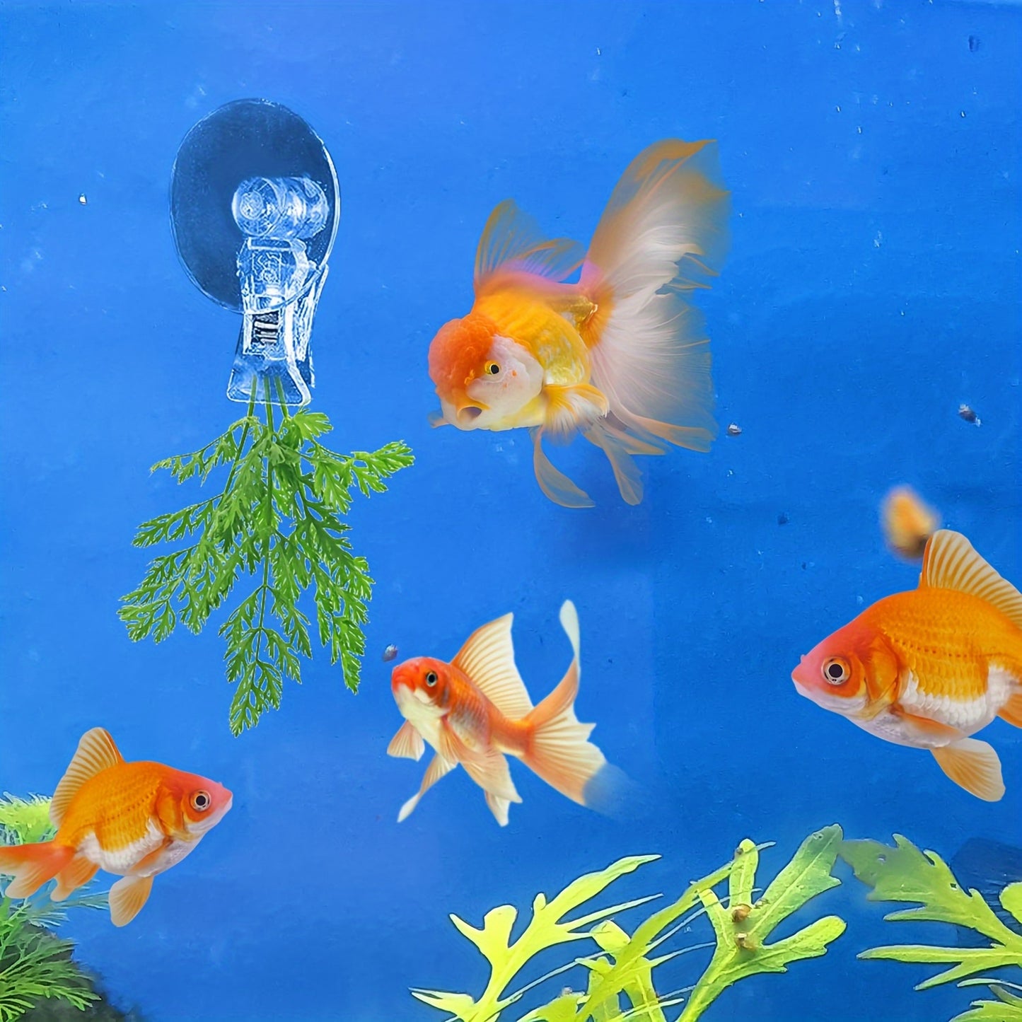 4PCS Transparent Adjustable Suction Cup Clips, Transparent Fishes Veggie Seaweed Plant Suction Cup Clip, Feeding Tool Feed Holder Aquarium Accessories for Fish Tank, Fish Feeder Clips for Marine Aquarium