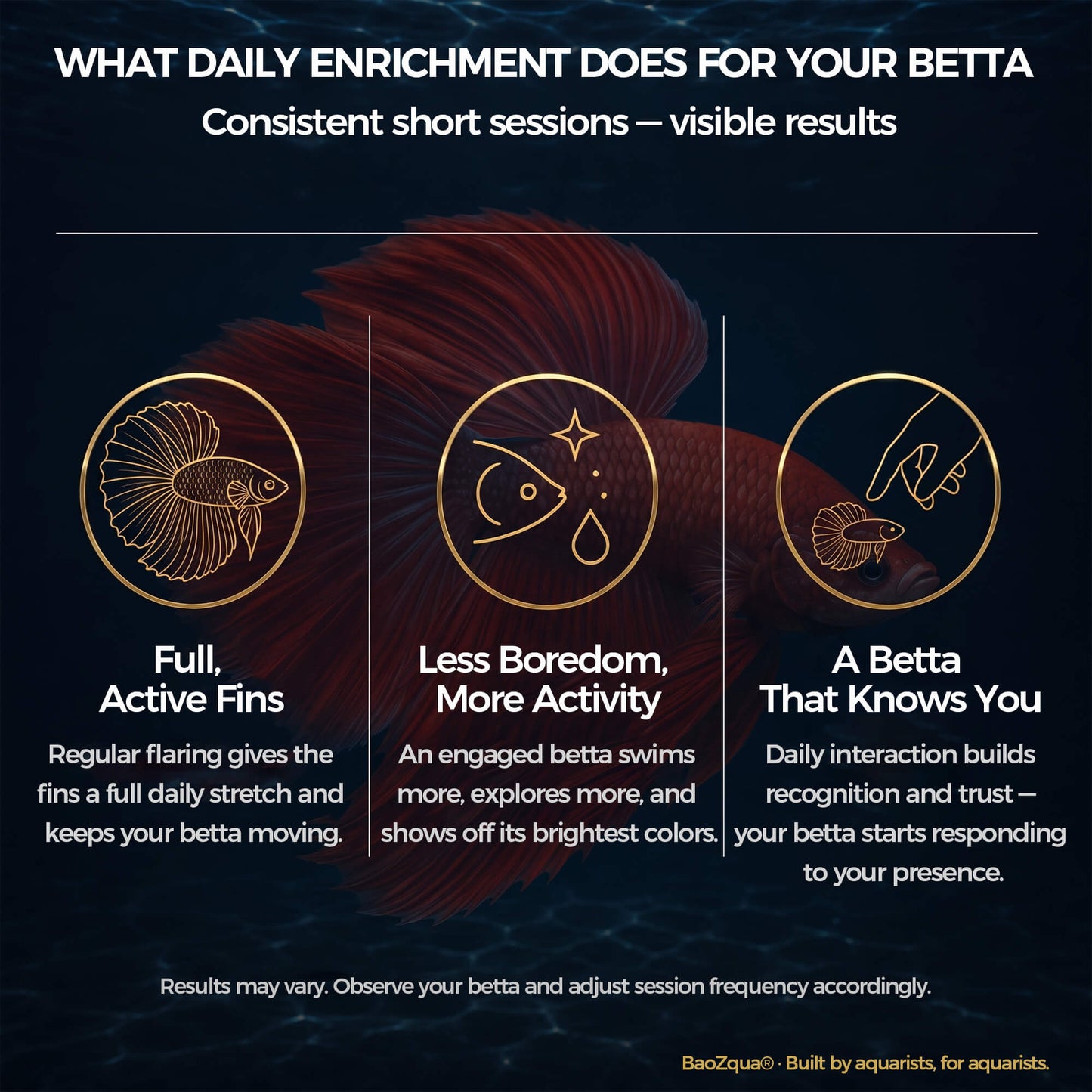BaoZqua Betta Exercise Kit, Betta Fish Toys, 2 Training Wands and Mirror
