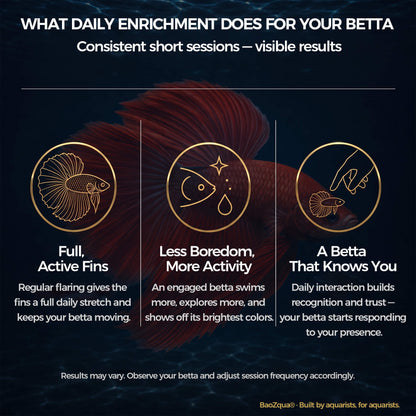 BaoZqua Betta Exercise Kit, Betta Fish Toys, 2 Training Wands and Mirror