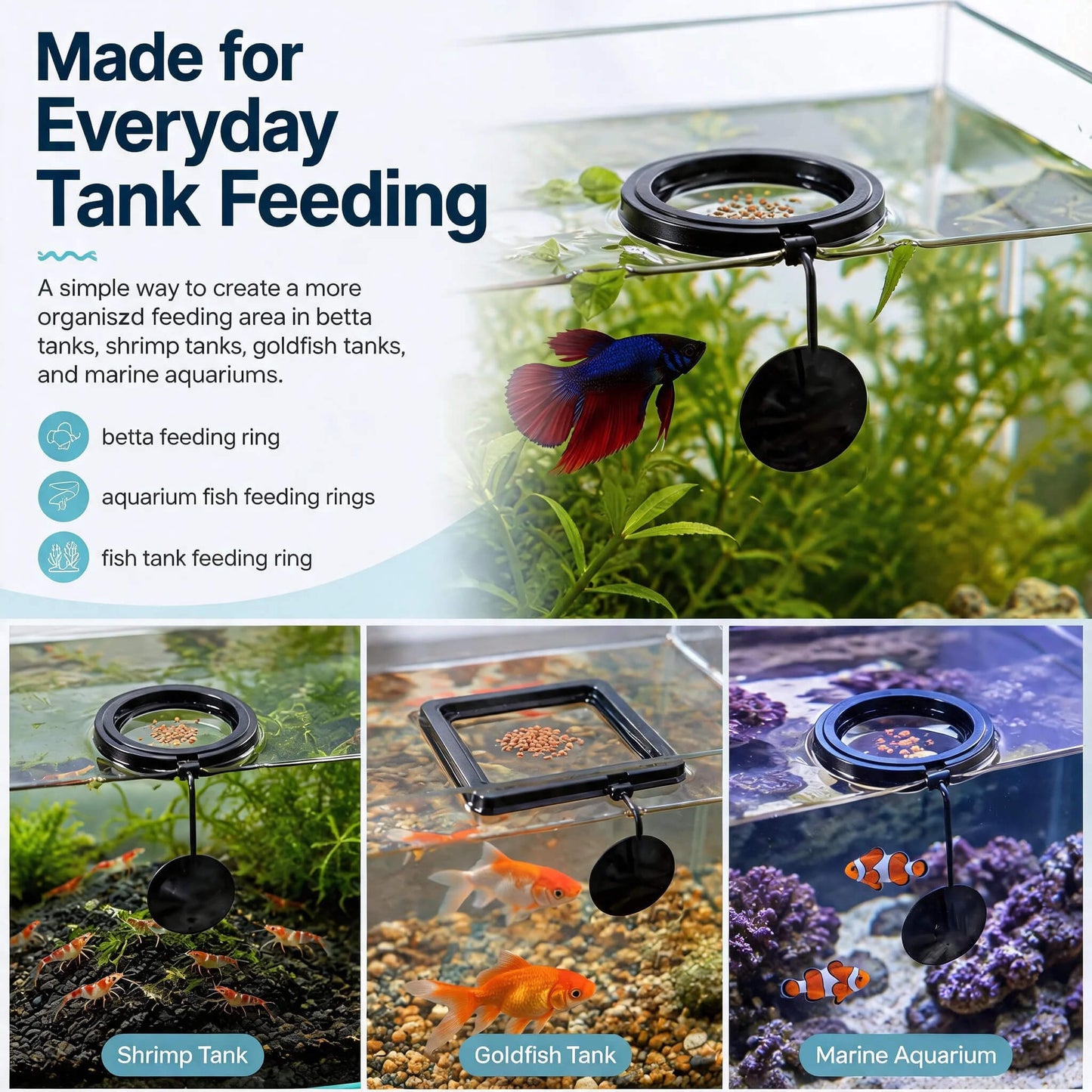 BaoZqua 2 Pack Betta Fish Feeding Ring, Floating Aquarium Fish Tank Feeder