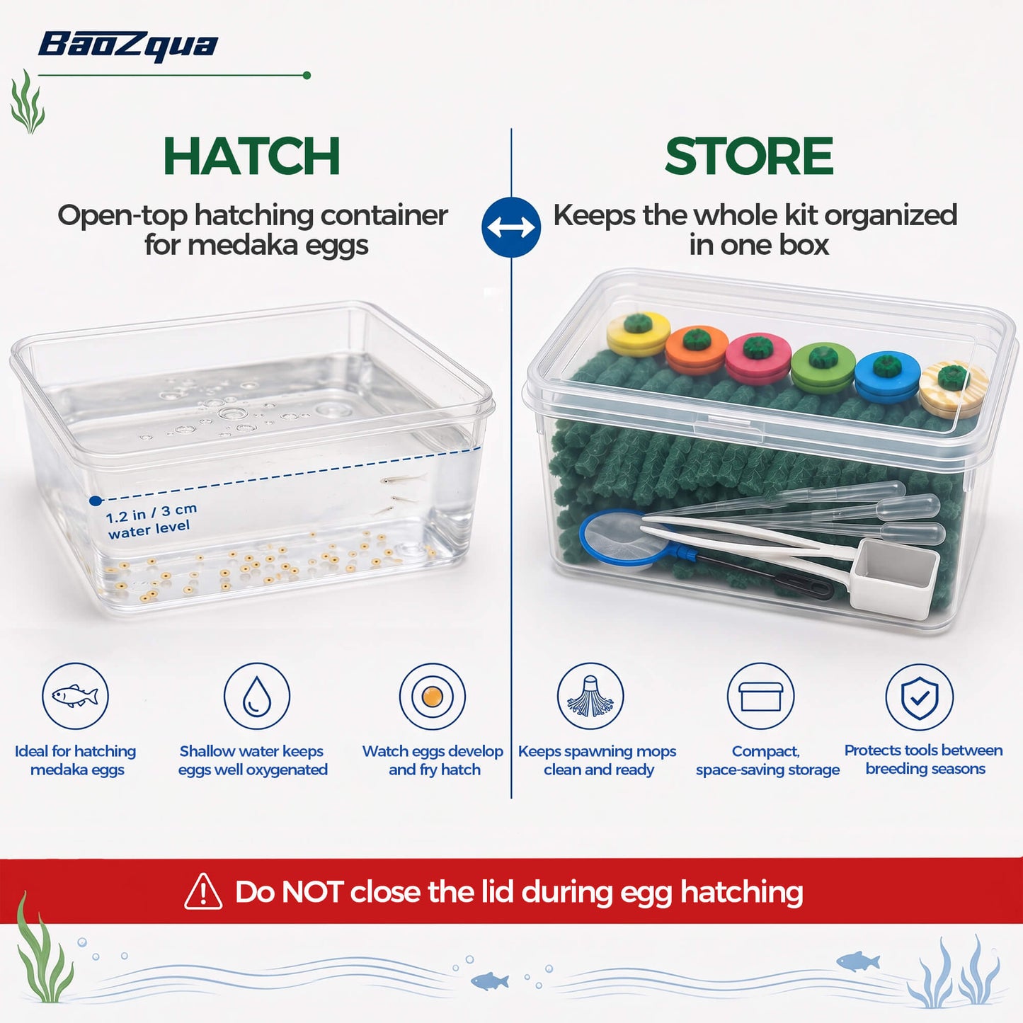 BaoZqua Medaka Spawning Mop Kit, 10 Floating Egg Collectors with Hatch Box