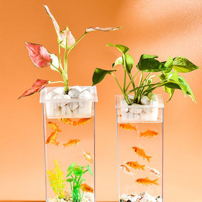 Crystal-Clear Plastic Fish Tank, Cylindrical or Rectangular Desktop Fish Tank & Hydroponic Planter, High-Transparency Display for Aquatic Plants, Fresh/Dried Flowers, Home & Office Décor