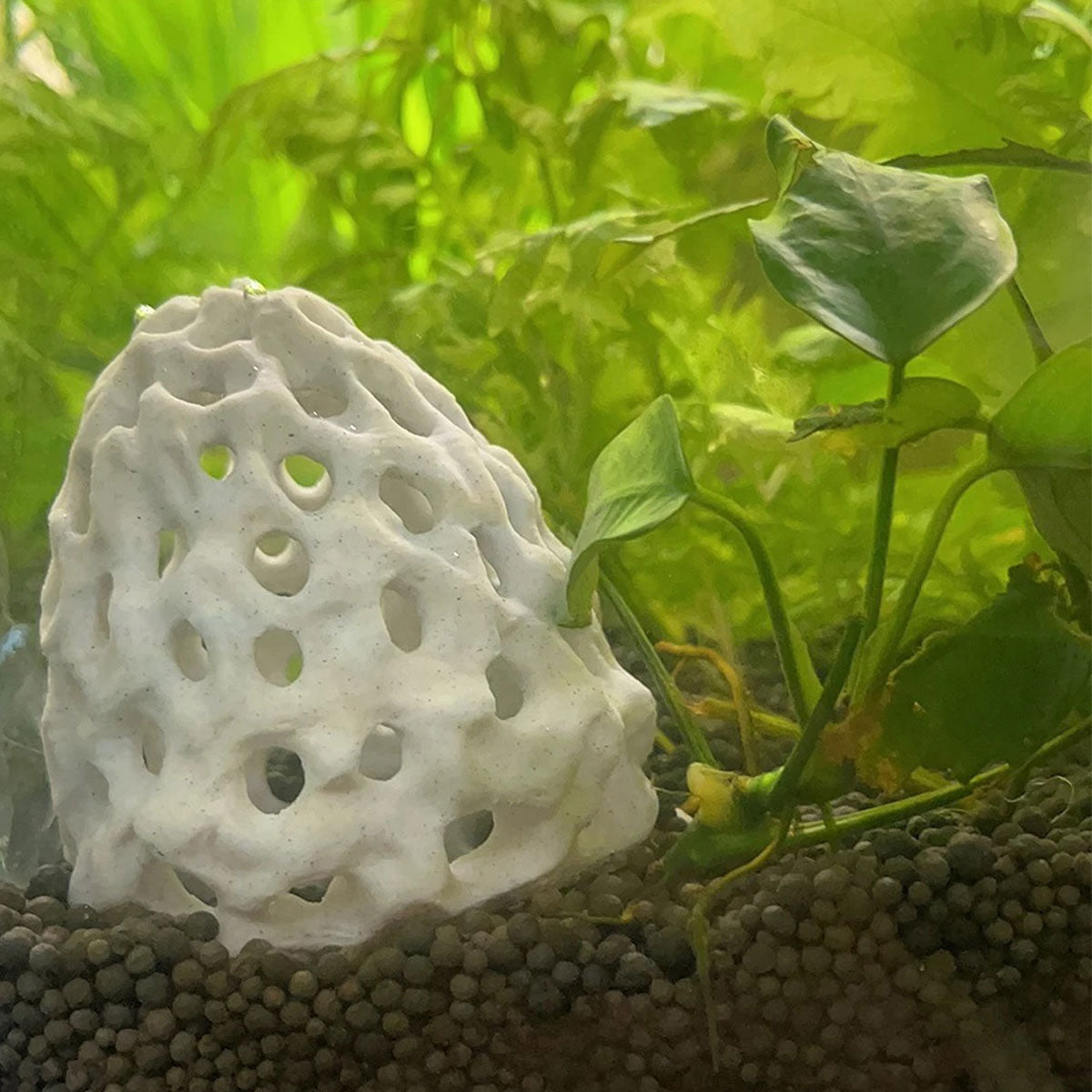 Porous Natural Aquarium Shrimp Hideouts Hiding Spots, Safe Haven for Shrimp