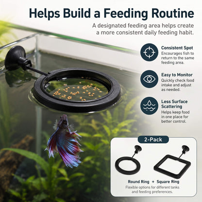 BaoZqua 2 Pack Betta Fish Feeding Ring, Floating Aquarium Fish Tank Feeder