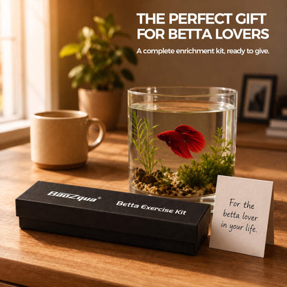 BaoZqua Betta Exercise Kit, Betta Fish Toys, 2 Training Wands and Mirror
