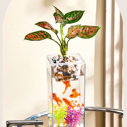 Crystal-Clear Plastic Fish Tank, Cylindrical or Rectangular Desktop Fish Tank & Hydroponic Planter, High-Transparency Display for Aquatic Plants, Fresh/Dried Flowers, Home & Office Décor