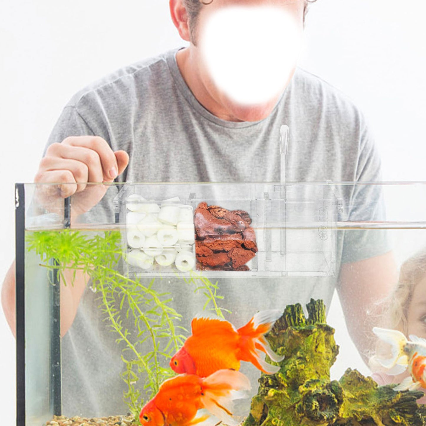 Fish Tank Filter, Wet Dry Separation Hanging Purify Water, Filtro Para Pecera Acrylic External Filter, Small Aquarium Filter Accessories
