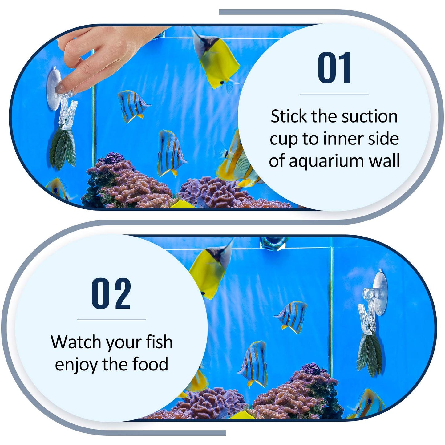 4PCS Transparent Adjustable Suction Cup Clips, Transparent Fishes Veggie Seaweed Plant Suction Cup Clip, Feeding Tool Feed Holder Aquarium Accessories for Fish Tank, Fish Feeder Clips for Marine Aquarium
