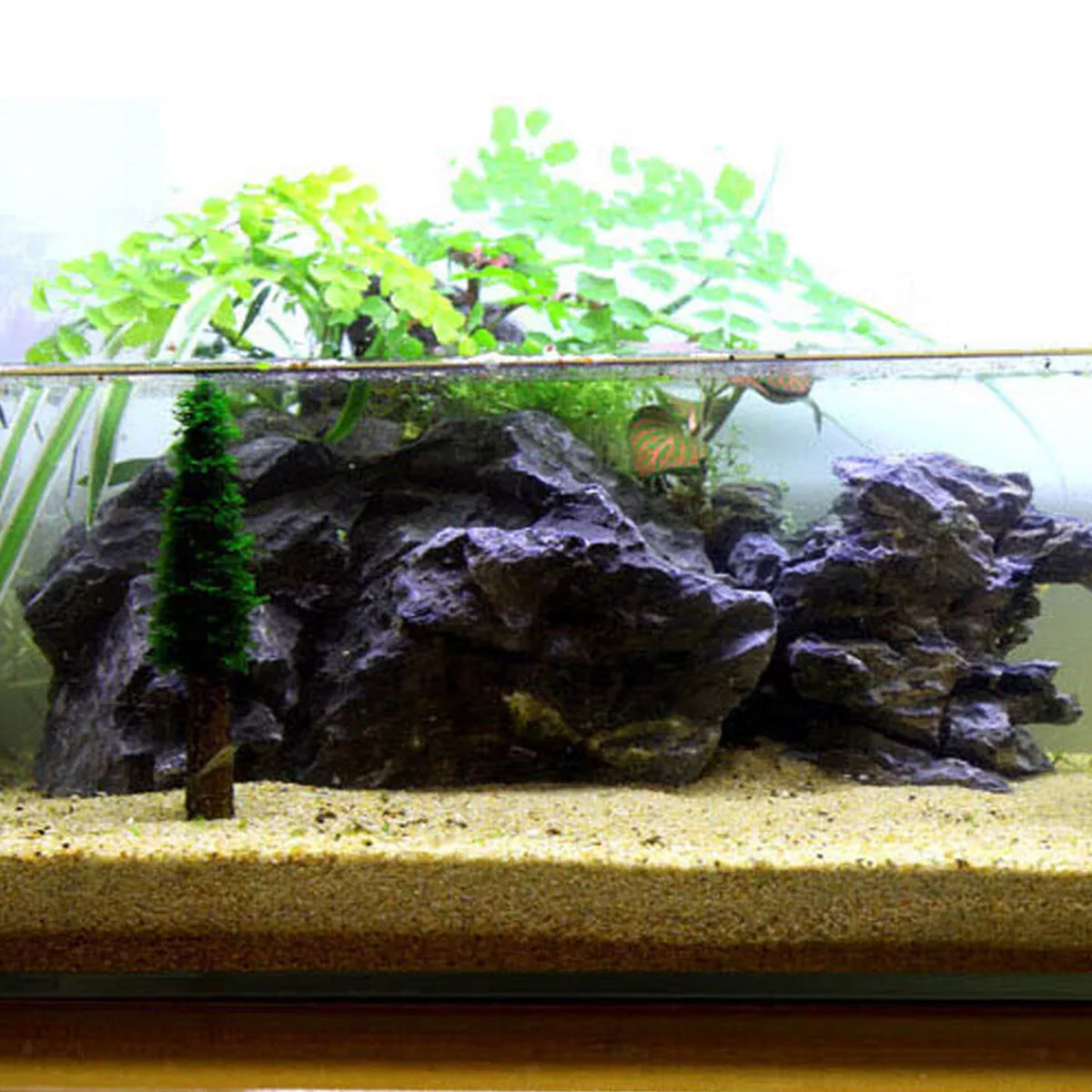 Aquarium Moss Decoration Aquarium Moss Ornament Fish Tank Landscape Grow Aquatic