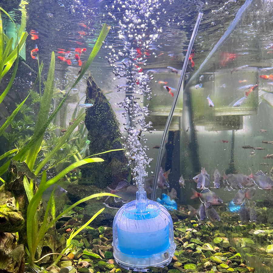 Mini Aquarium Sponge Filter, Fish Tank Filter, Small Fish Tank Internal Filter with Sponge and Air Stone, High-Density Biochemical Cotton Filter,  for Small Fish Tank , Aquarium(Air Pumps Not Included)