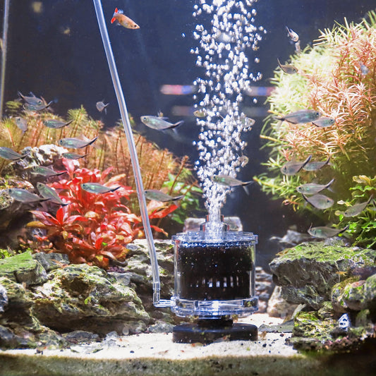 Aquarium Filter Sponge Filter for Fish Tank, Fish Tank Filter for Betta Shrimp