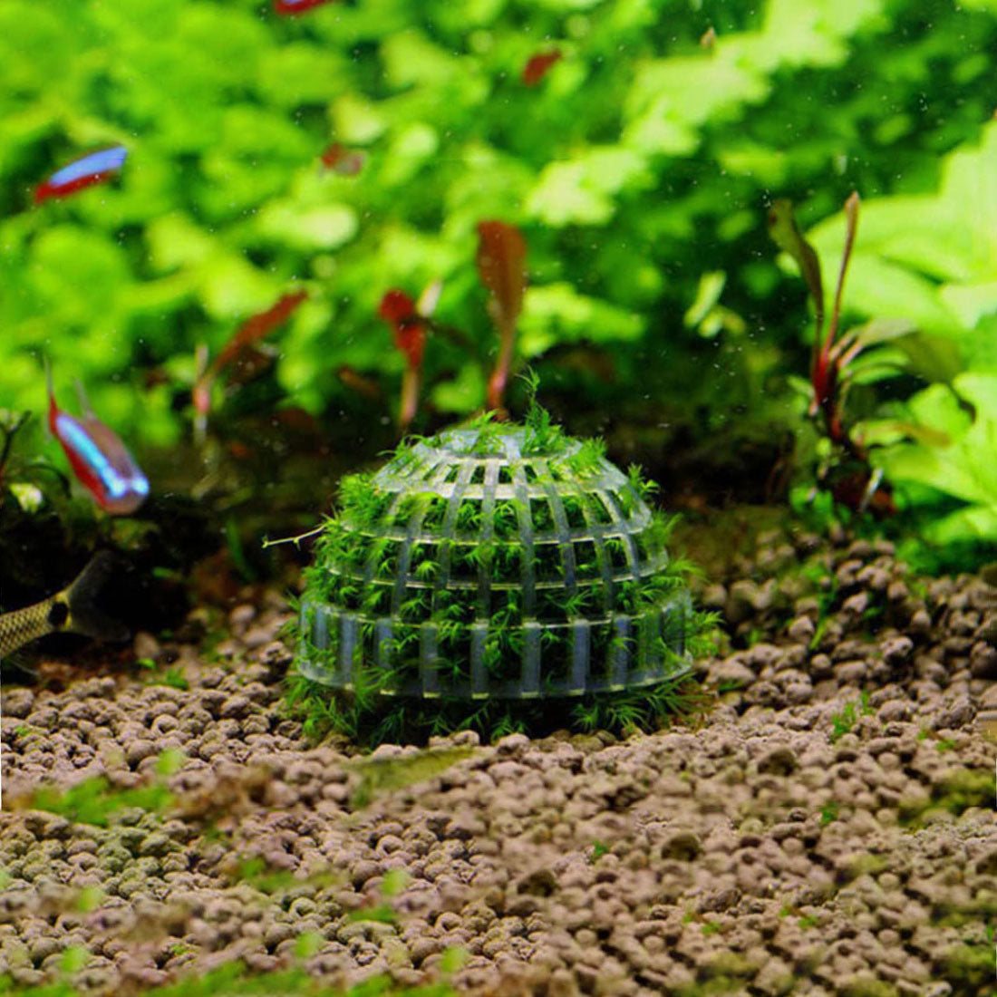 3 PCS Aquarium Moss Ball Holder Professional Aquarium Plant Holder Plastic Moss Ball Fish Tank Plant Holder with Filter Stone for Fish Tank Accessories
