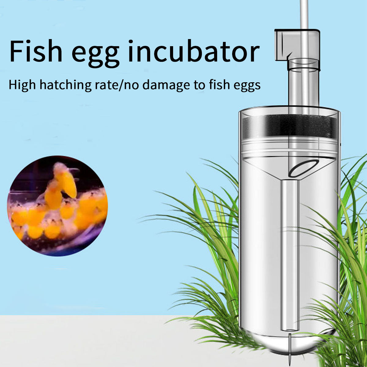 Aquarium Cichlids Fish Egg Incubator Tumbler Fish Hatchery Mouth-Brooding 60mm/2.36inch (Pump Not Included)