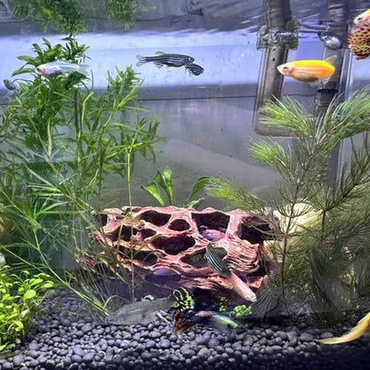 Aquarium Decoration Fish Tank Shrimp Shelter Nest Spawning Hole Fish Root Design