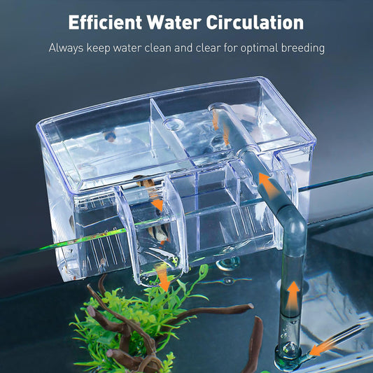 Acrylic Hang-On Breeding & Isolation Box — Fry/Shrimp Incubator & Refugium, Medium 2-Chamber (No Pump) / Large 3-Chamber (No Pump), Clear External Hatchery for Freshwater & Marine