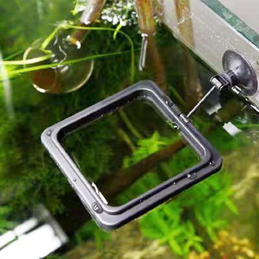 Floating Fish Food Feeder Ring - Aquarium Feeding Tool with Strong Suction Cup, Prevents Food Dispersion for Tropical Fish, Shrimp & Fry