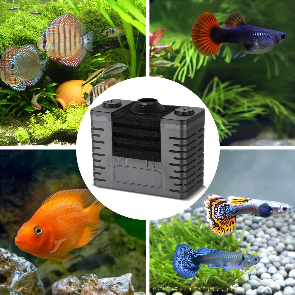 Fish Tank Filter Detachable Filter with Air Stone, Aquarium Sponge Filter Suitable for 2-5 Gallon Tank (Air Pumps Not Included)