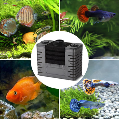 Fish Tank Filter Detachable Filter with Air Stone, Aquarium Sponge Filter Suitable for 2-5 Gallon Tank (Air Pumps Not Included)