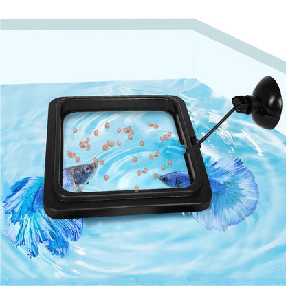 Floating Fish Food Feeder Ring - Aquarium Feeding Tool with Strong Suction Cup, Prevents Food Dispersion for Tropical Fish, Shrimp & Fry