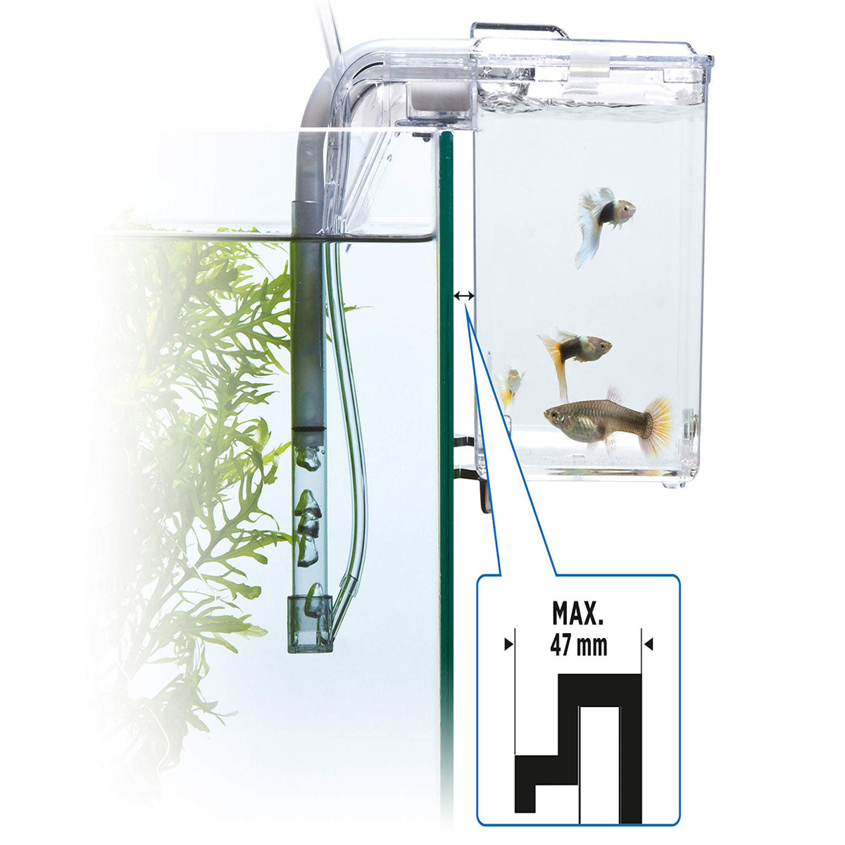 Acrylic Hang-On Breeding & Isolation Box — Fry/Shrimp Incubator & Refugium, Medium 2-Chamber (No Pump) / Large 3-Chamber (No Pump), Clear External Hatchery for Freshwater & Marine