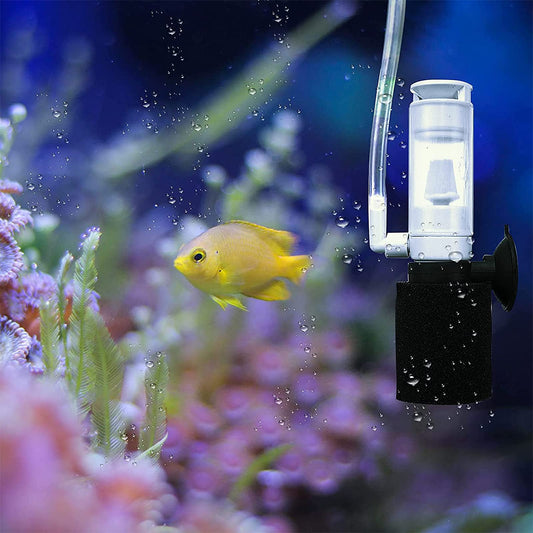 Mini Sponge Aquarium Filter with Non-return Check Valve, Replacement Sponge