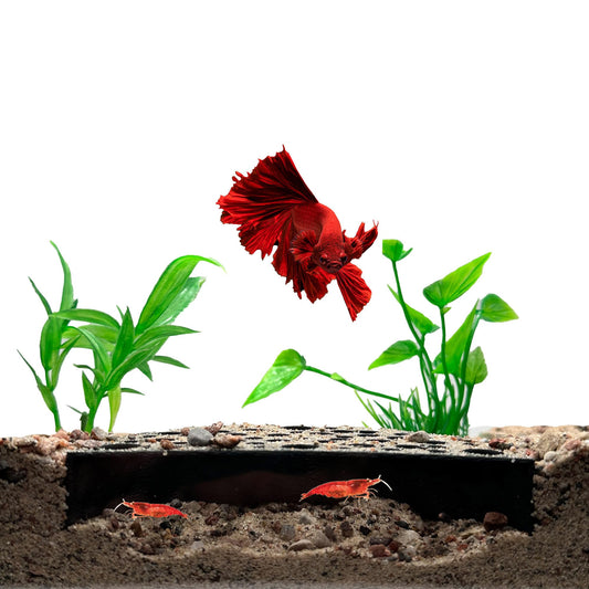 Aquarium Shelter House Small Fish Tank Decoration Aquaculture Shrimp Cave
