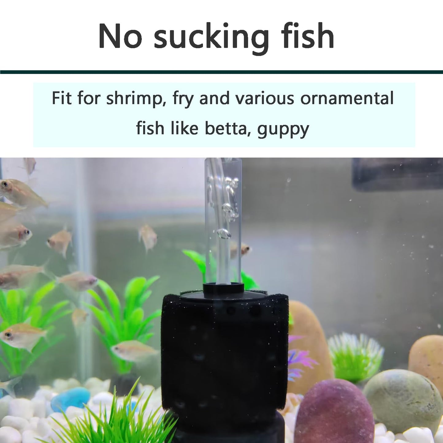 Aquarium Large Bio Sponge Filter Quiet Betta Fry Shrimp and Small Fish Foam Filter for Fish Tank Up to 60 Gallon