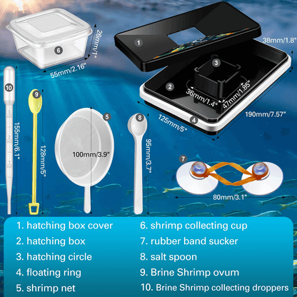 Floating Brine Shrimp Hatchery Tray - No Pump Needed Self-Collecting Kit with Net, Spoon & Dropper