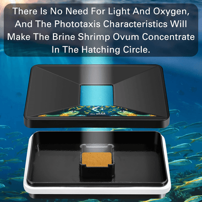 Floating Brine Shrimp Hatchery Tray - No Pump Needed Self-Collecting Kit with Net, Spoon & Dropper