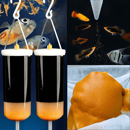 1200ML Large Capacity Brine Shrimp Hatchery Kit - Artemia Incubator with Hatching Tools (40.6fl oz) for Aquarium Fish Food