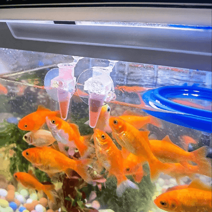 10PCS Shrimp Feeding Dish with Fish Feeding Tube – 2.36" Transparent Feeder for Shrimp Larvae, Freshwater & Saltwater Aquariums