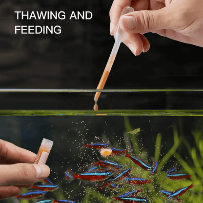 50pcs 1.8ml Brine Shrimp Collection Tubes with Clear Storage Box – For Brine Shrimp Hatchery, Freezing & Storing Baby Brine Shrimp