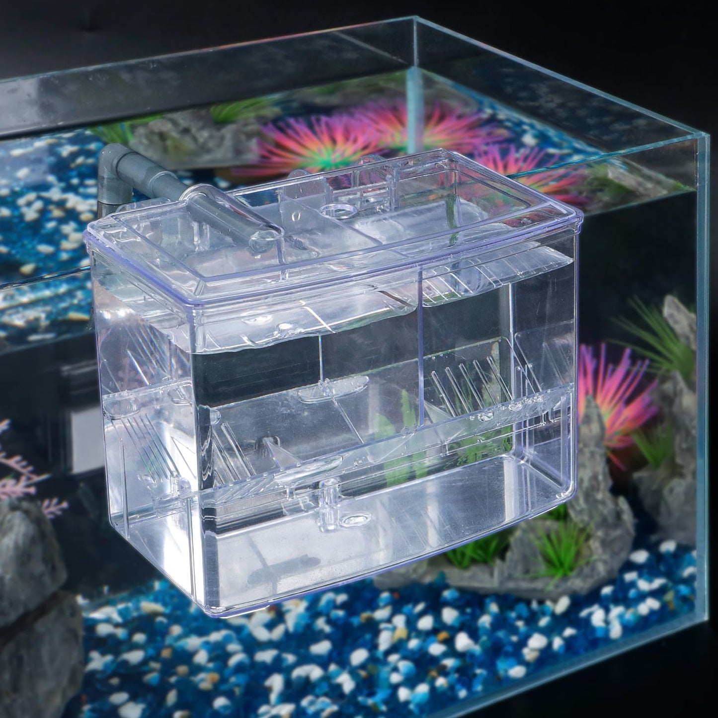 Acrylic Hang-On Breeding & Isolation Box — Fry/Shrimp Incubator & Refugium, Medium 2-Chamber (No Pump) / Large 3-Chamber (No Pump), Clear External Hatchery for Freshwater & Marine