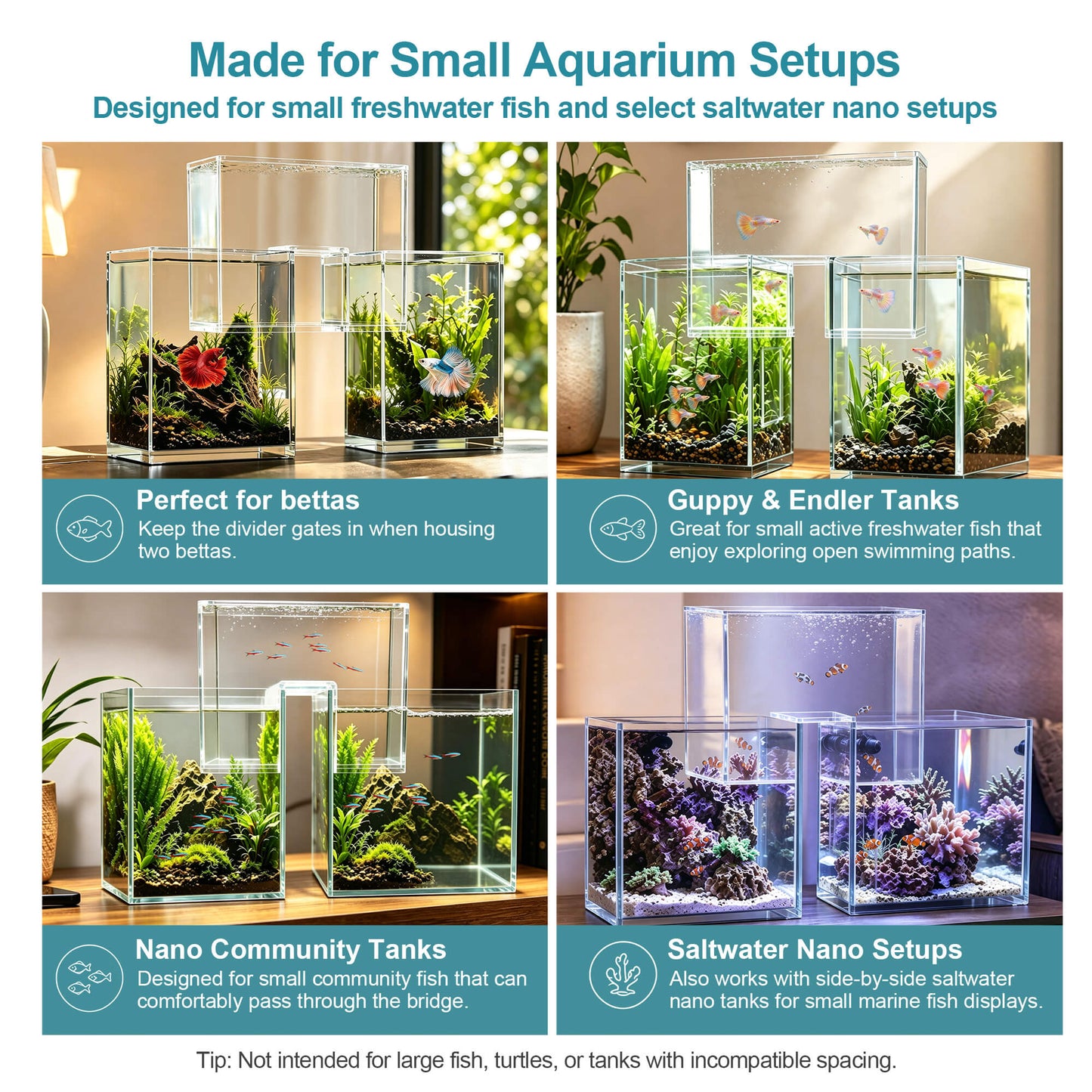 BaoZqua Two-Tank Aquarium Bridge, Negative Pressure Fish Tank Kit