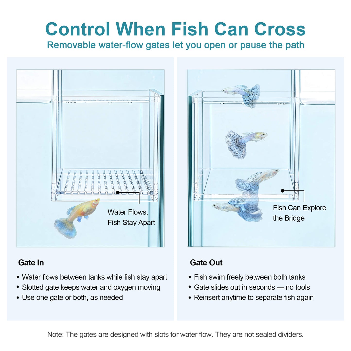 BaoZqua Two-Tank Aquarium Bridge, Negative Pressure Fish Tank Kit